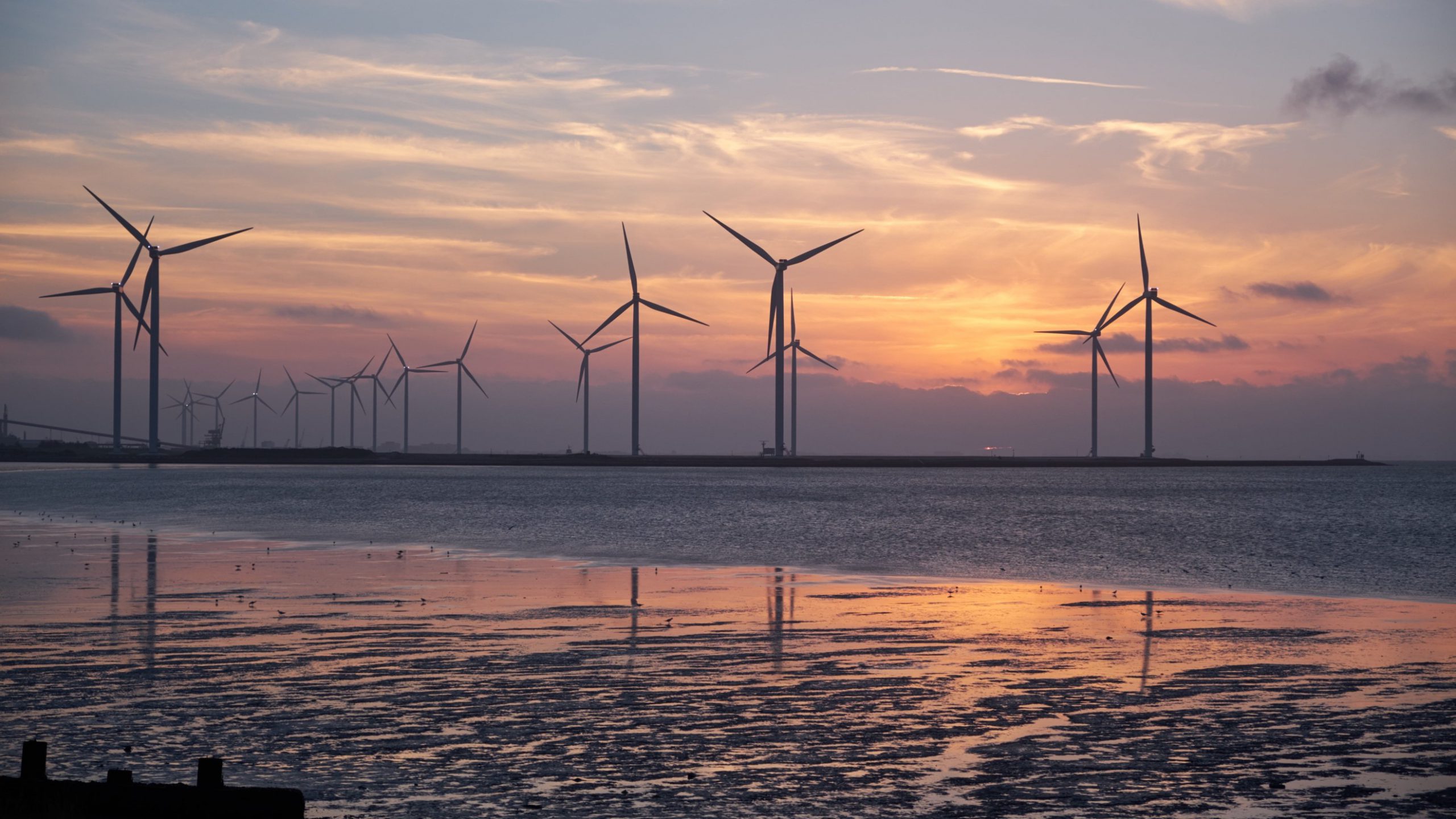 ¿Qué es la eficiencia energética y cómo lograrla? – Inditer