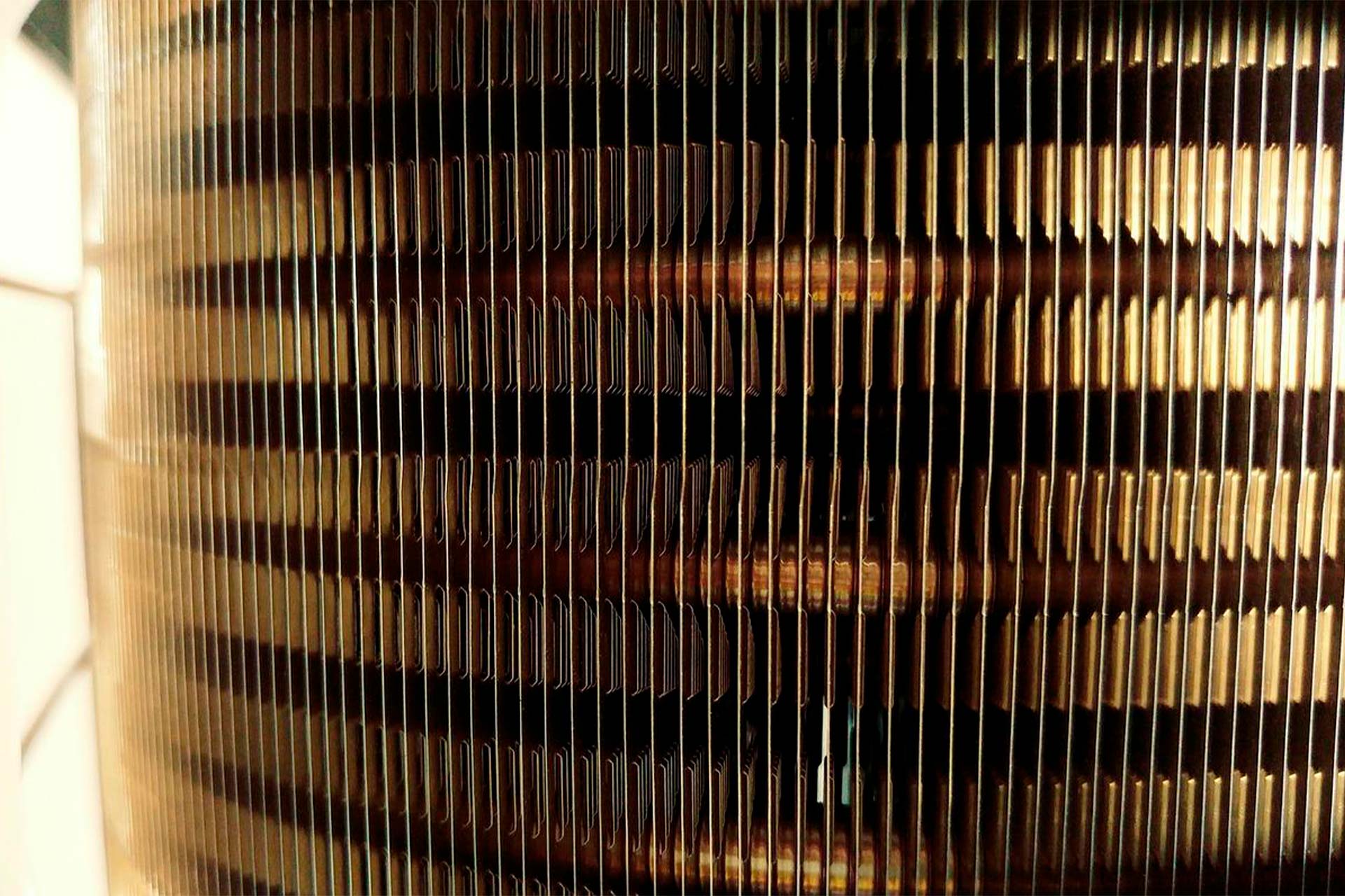 serpentines blog